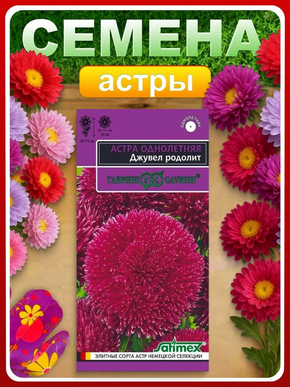 Семена Астра Джувел родолит