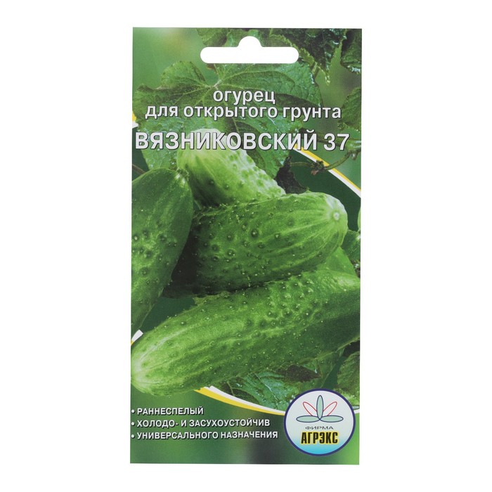 Семена Огурец Вязниковский 37