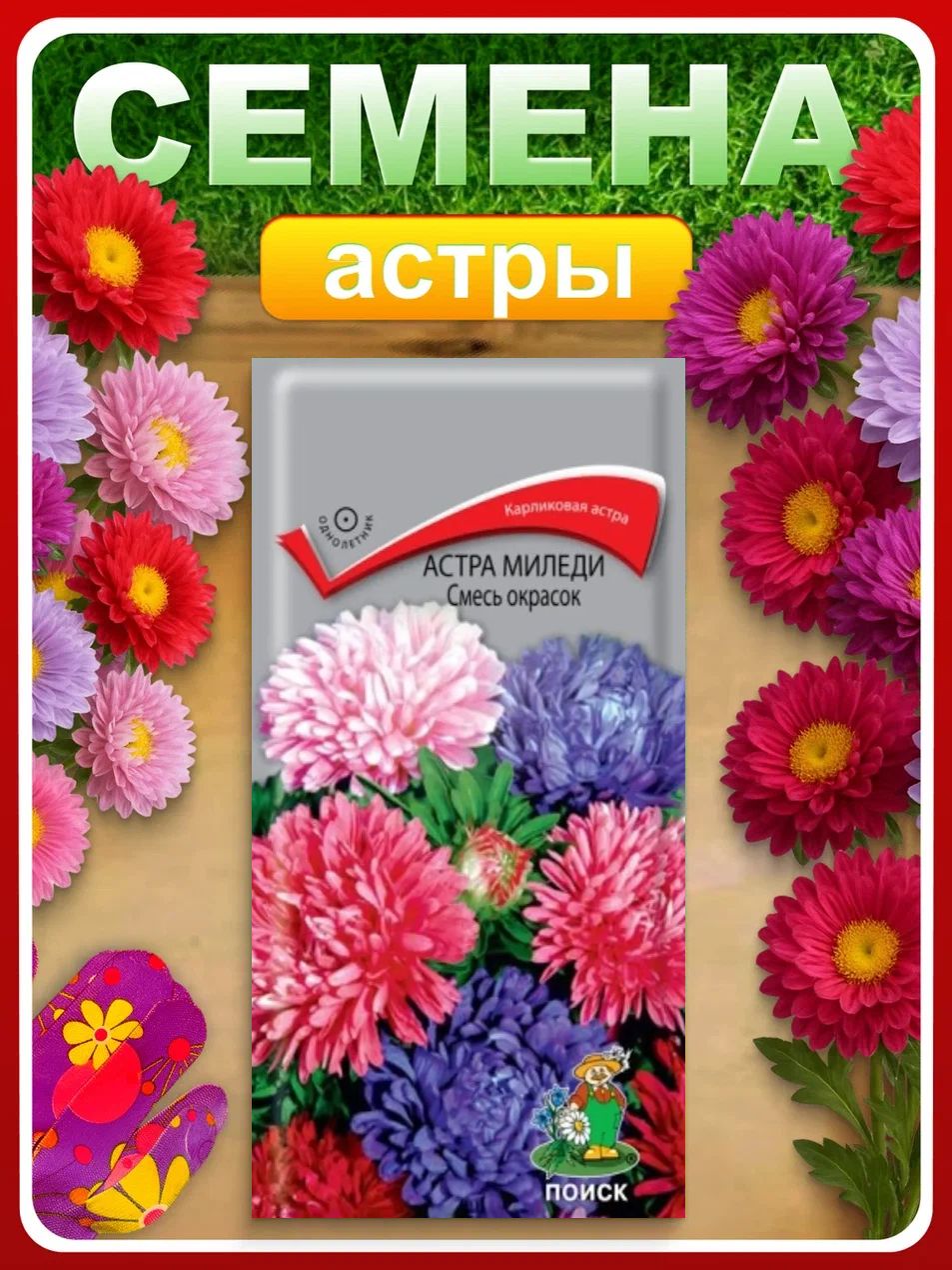 Семена Астра Миледи китайская лиловая