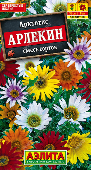 Арктотис Арлекин