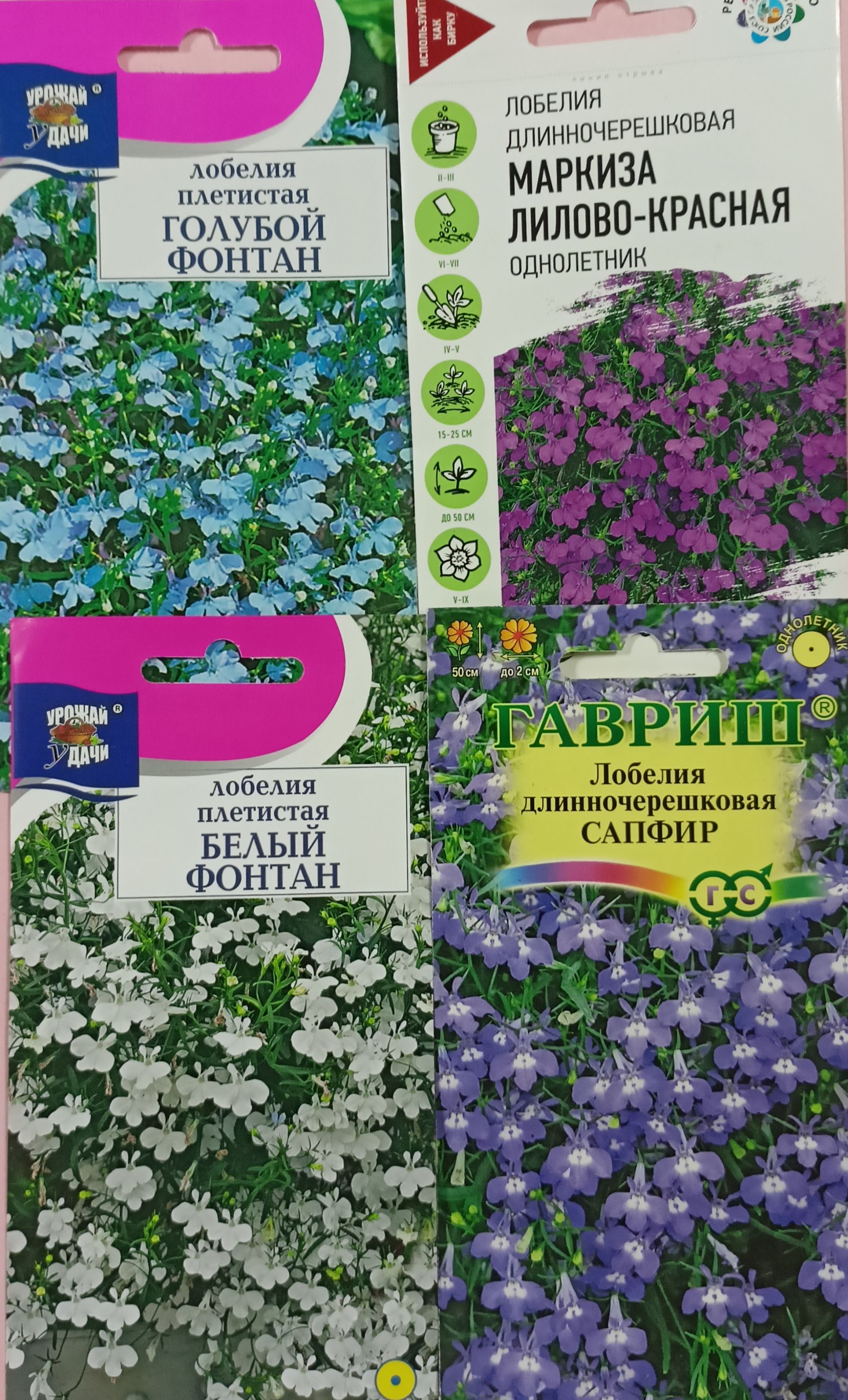 Семена Лобелия ампельная Маркиза лилово-красная