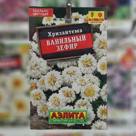 Семена Хризантема Ванильный зефир