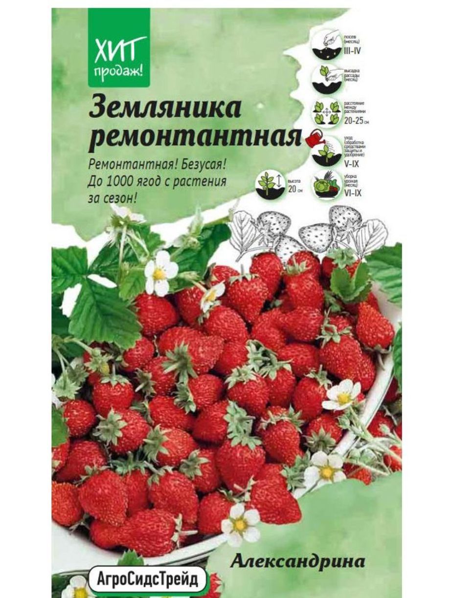 Семена Земляника (клубника) Александрина