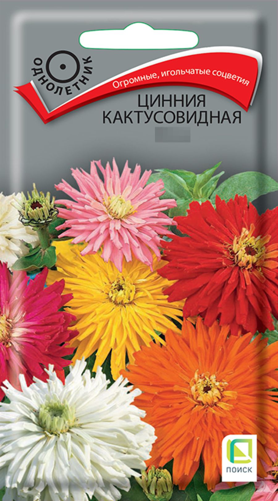Семена Цинния Кактусовидная смесь сортов