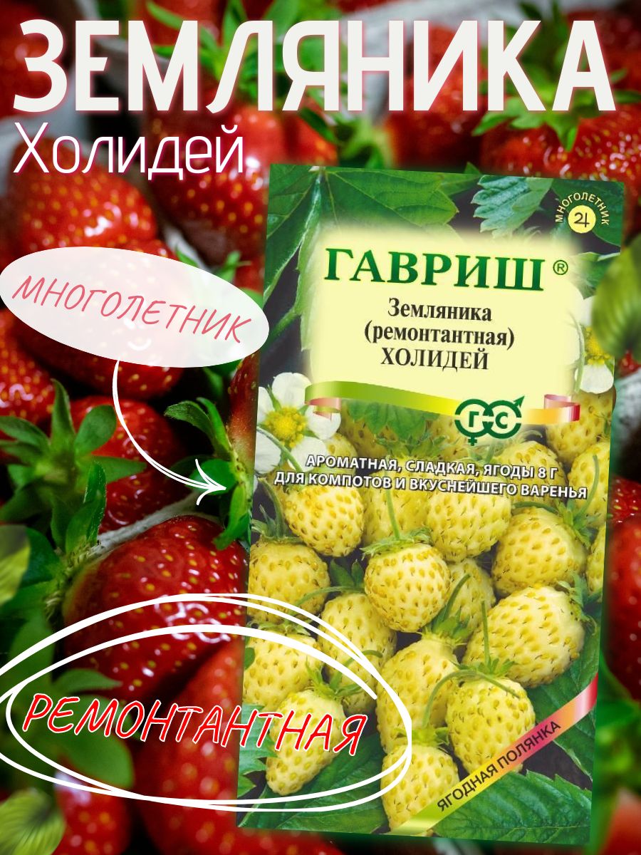 Семена Земляника (клубника) Холидей ремонтантная